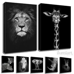 Quadro Decorativo de Animais Preto e Branco - Canvas