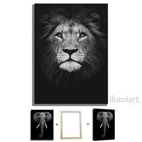 Quadro Decorativo de Animais Preto e Branco - Canvas