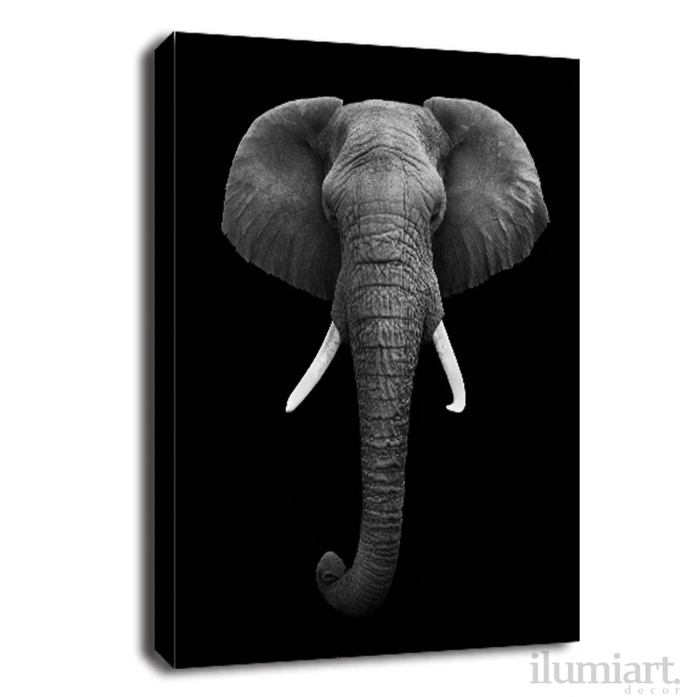 Quadro Decorativo de Animais Preto e Branco - Canvas