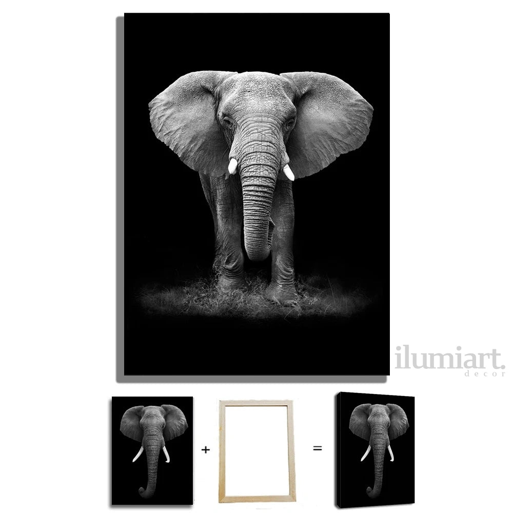 Quadro Decorativo de Animais Preto e Branco - Canvas