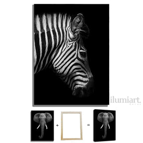 Quadro Decorativo de Animais Preto e Branco - Canvas