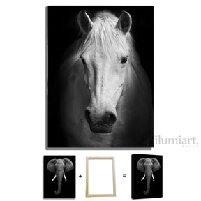 Quadro Decorativo de Animais Preto e Branco - Canvas